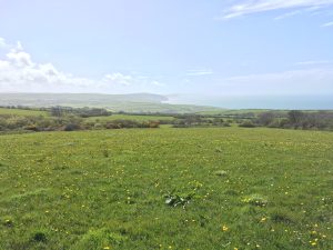 Farm over looking cardigan bay